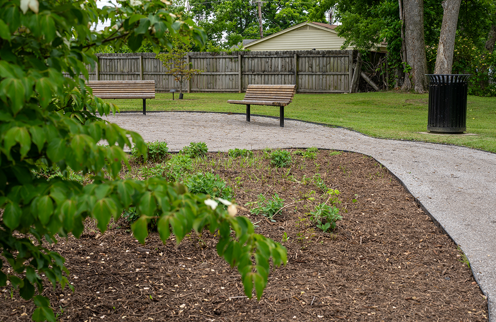 Kney Park bench