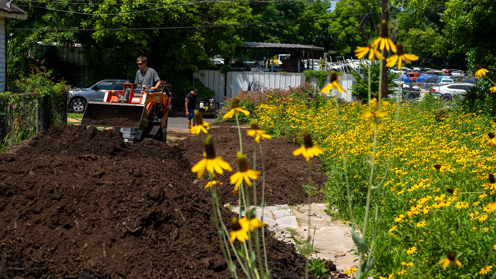 Pollinator Garden