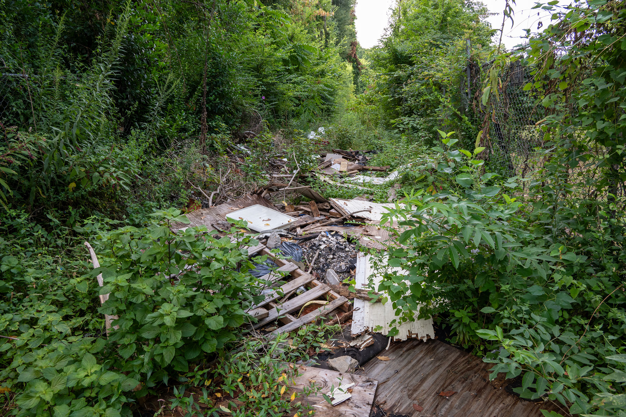 Uptown Alley Cleanup